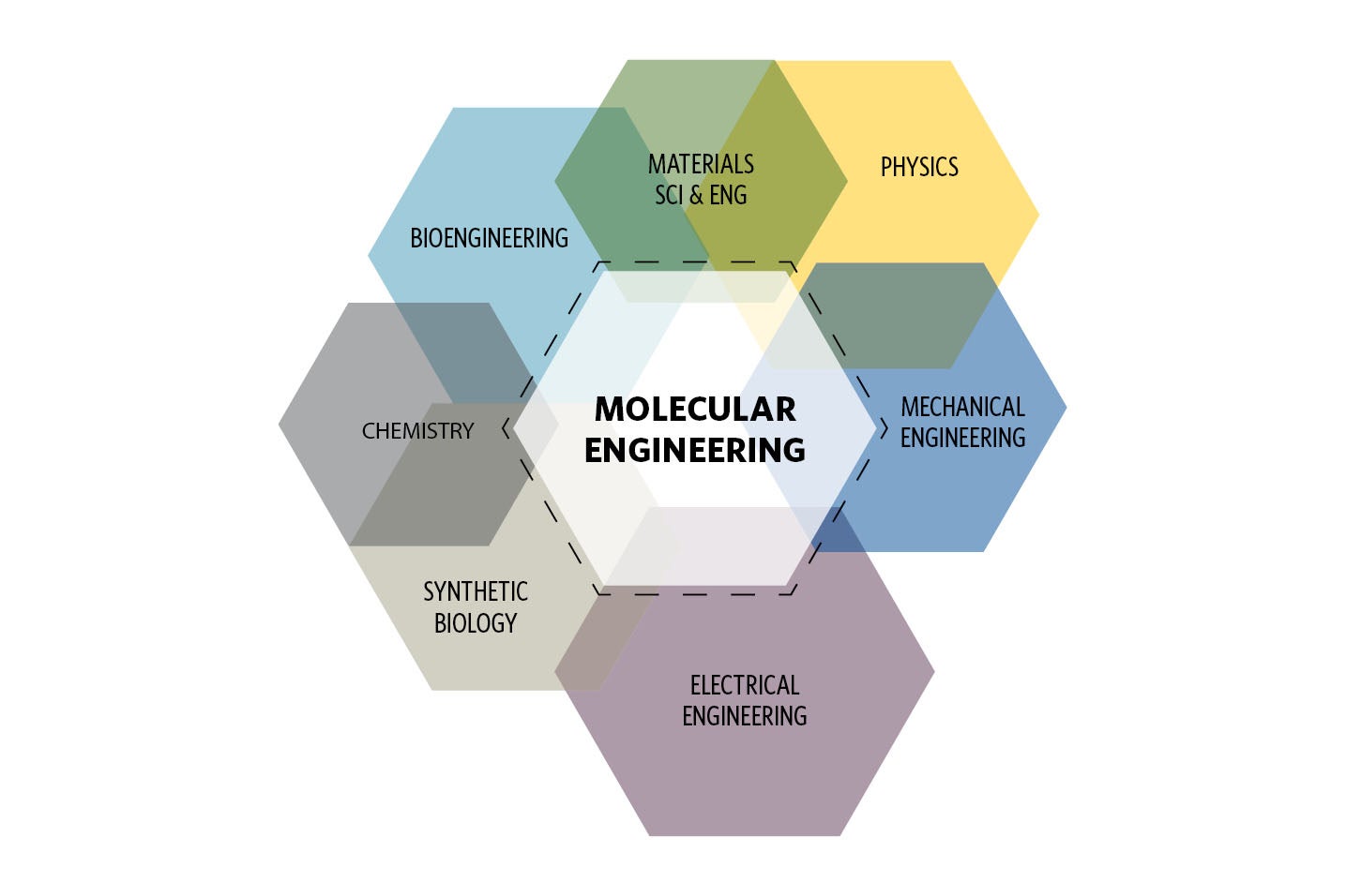 molecular engineering diagram